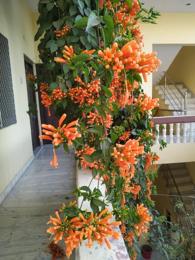 Keshav Palace Pushkar Zewnętrze zdjęcie